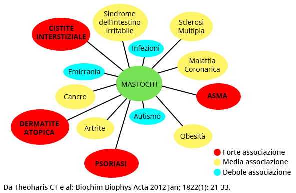 Mastociti: associazioni malattie