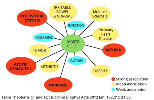 Associations between activity of mast cells and diseases.