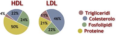 Differenze costituzione lipoproteine