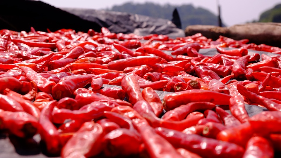 chilli peppers landscape